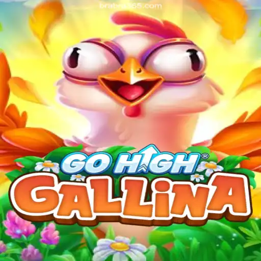 Exploring GoHighGallina: The Exciting New Game on Bra365.com